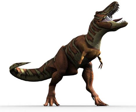 Tyrannosaurus rex picture 10