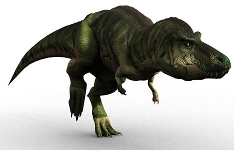 Tyrannosaurus rex picture 12