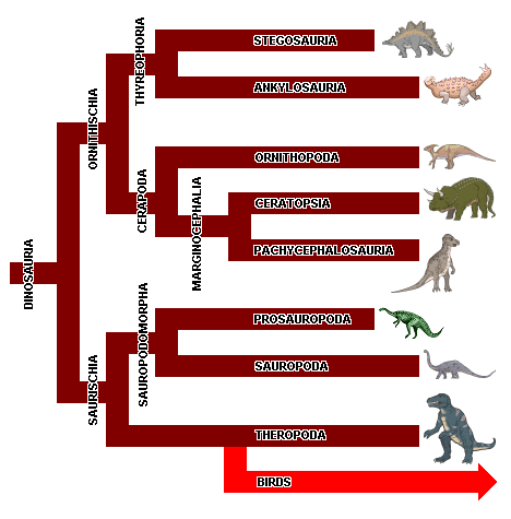 Dinosaur Classification