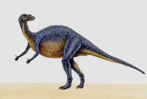 Iguanodon picture 3