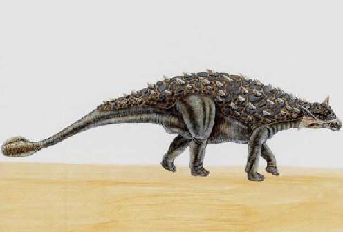 Ankylosaurus picture 4