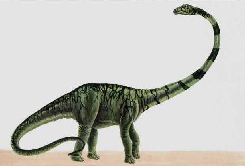 Mamenchisaurus picture 3