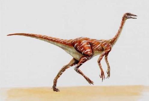 Ornithomimus picture 1
