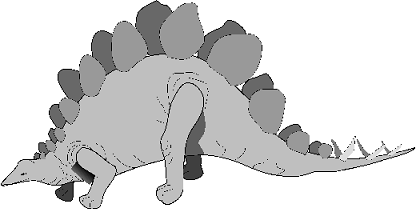 Stegosaurus picture 6