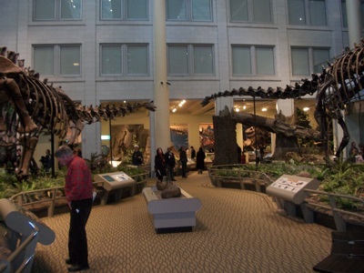 At the Carnegie Museum of Natural History