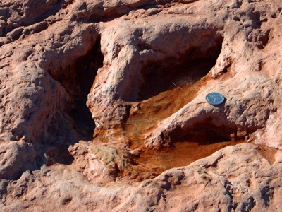 Dinosaur footprint - from a theropod dinosaur - found in the Moenave Formation in Arizona