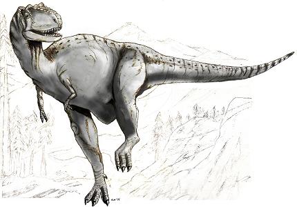 Albertosaurus picture 1
